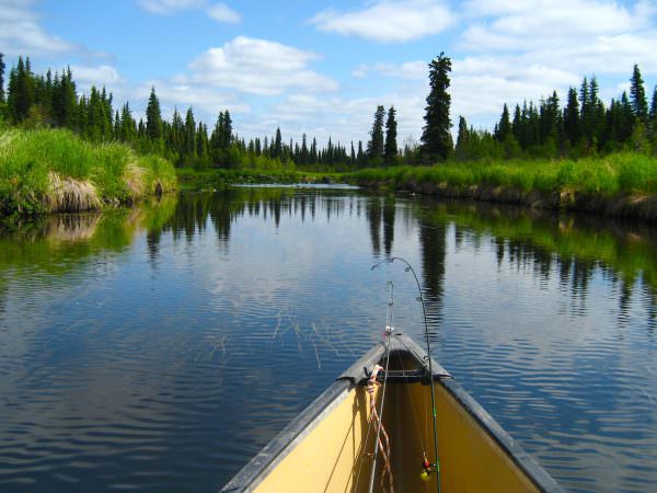 Alaska Fishcamp