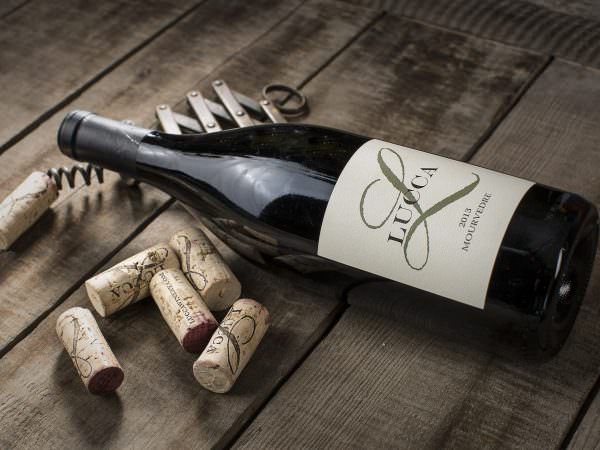 Lucca Winery